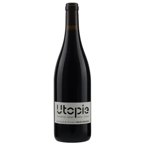 2021 Domaine Bertrand et Vincent Marchesseau Utopie Bourgueil
