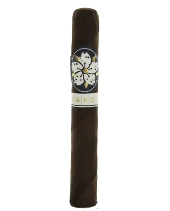 Room 101 Farce Maduro Robusto