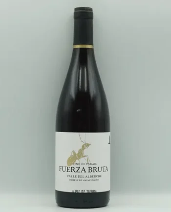 A Pie de Tierra, Fuerza Bruta 2023