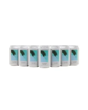 Something & Nothing Cucumber Seltzer Case of 12x33cl Cans