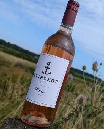 2023 Skipskop Petit Verdot Rosé