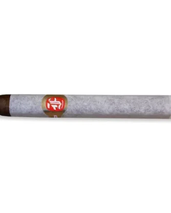 Fonseca KDT Cadetes Cigar