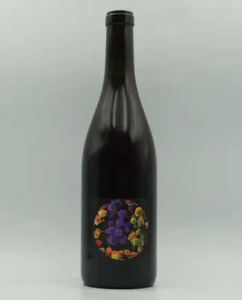 Allante & Boulanger, 'Pinot d'Aunis' 2024