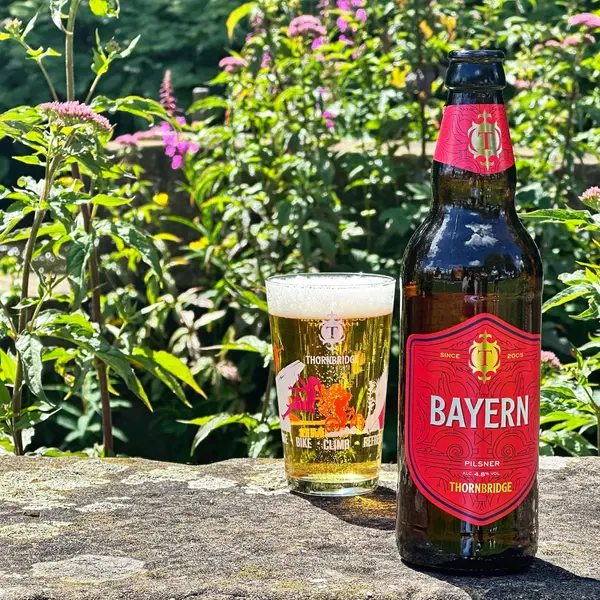 Bayern, 4.8% Pilsner