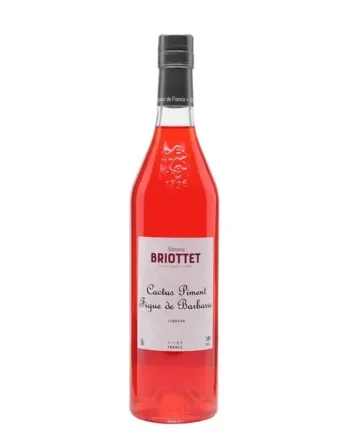 Briottet Cactus, Pimento & Prickly Pear