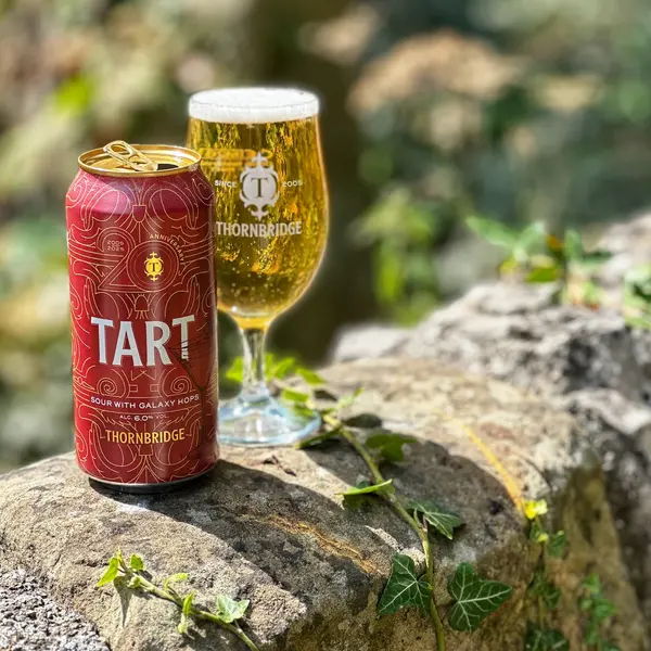 Tart, 6% Sour with Galaxy Hops