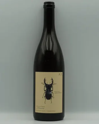 Andreas Tscheppe, Stag Beetle 2024